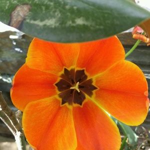 Meet your Posher, Myra